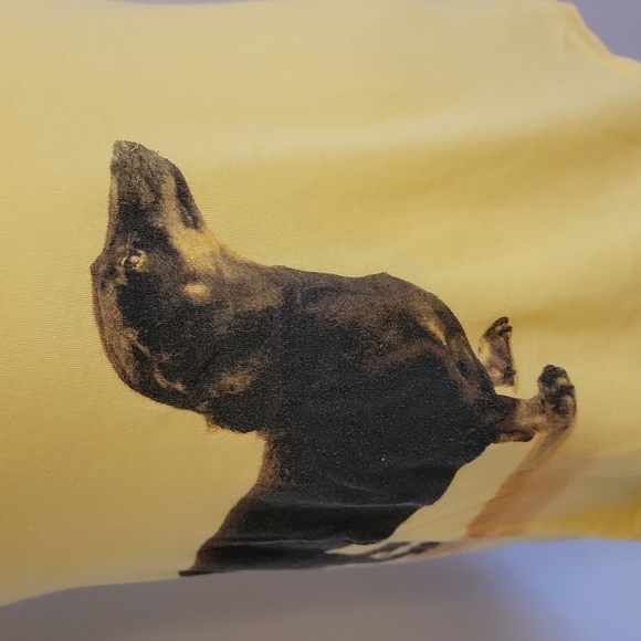 Threadless Select Bareback Tshirt by Michelle Alexis Newman, Dachshund Print - Picture 3 of 8